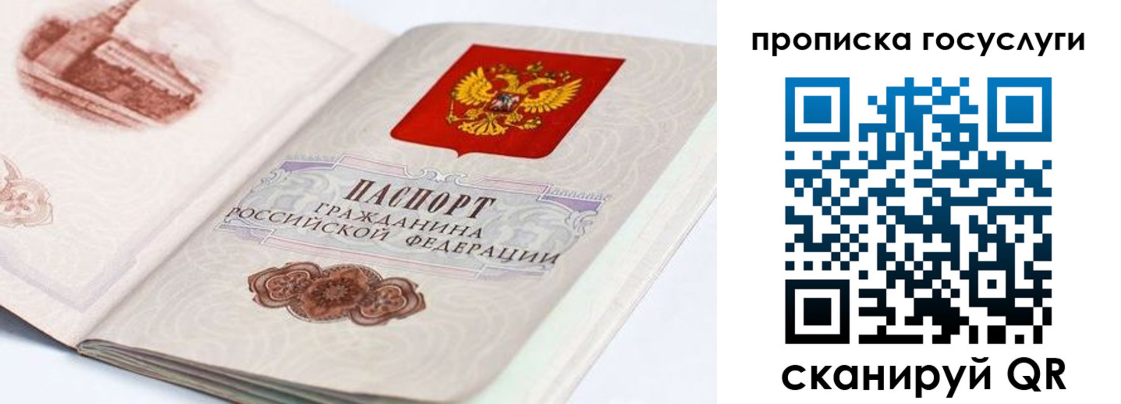 прописка гарантия в Мамадыше